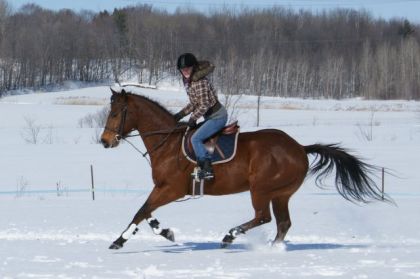 Bobby et Bebelle au galop ! Beau team :-)