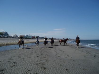 Six cavaliers sur la plage
