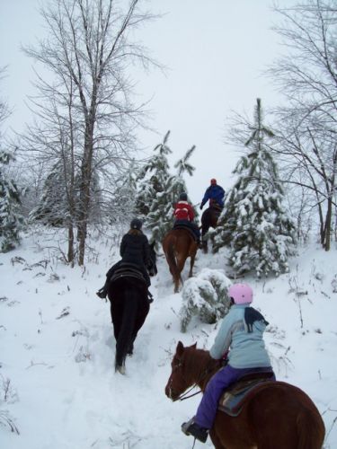 rando dans la vallée des pins # 2,  hiver 2009