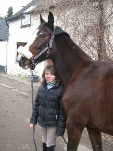 Moi et ma jument , j'adore cette photo elle a l'aiir &eacute;norme &agrave;...