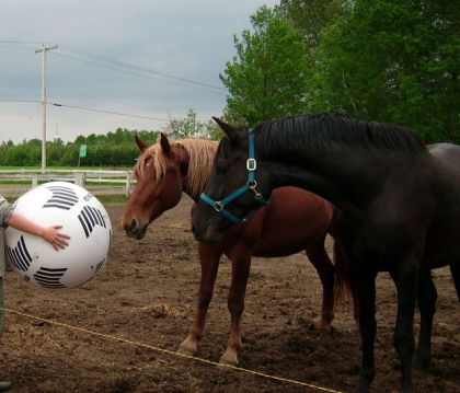 À la découverte de la grosse "Balloune blanche" ! C'est fou...