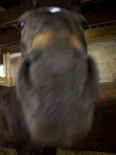 J'aime bien cette photo meme si elle est un peu flou (c'est...