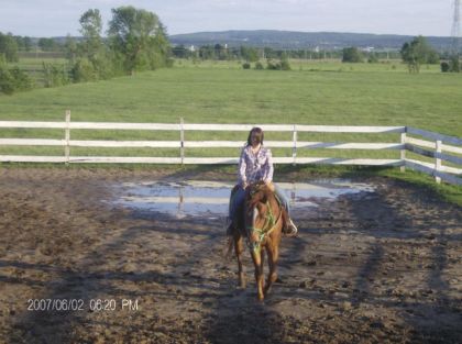 ohhh ,, ke je l'aime se cheval la :D