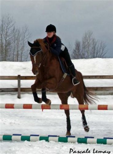 Baron et moi aujourdhui !! Photo prise par Pascale Lemay...