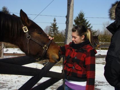 Ma soeur et Faith l'autre cheval qui est a l'écurie avec Humer !!