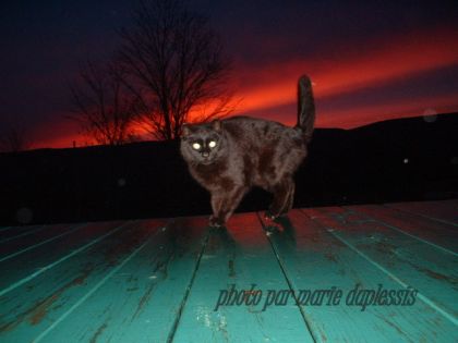 je la trouve malade cette photo la