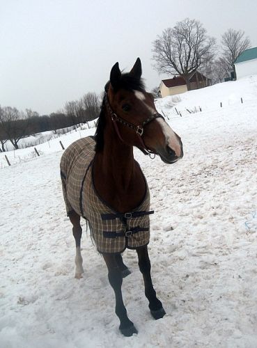 Ma Belle Juju Hier :)