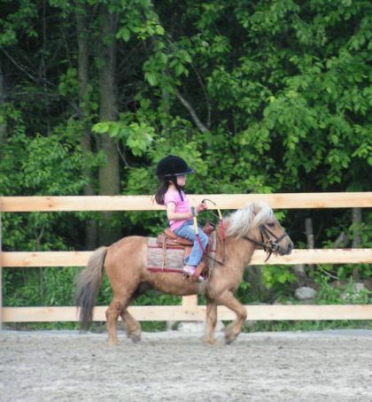 Petite cavalière sur son mini poney