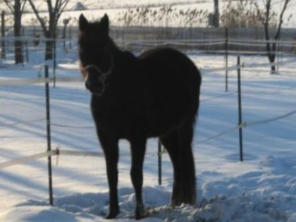 Mon gros bébé dans la neige (L) J'ai hate au printemps pour...