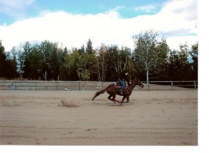 moi et chex