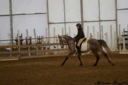 Curioso compé dressage arrivé 1er et 2e!