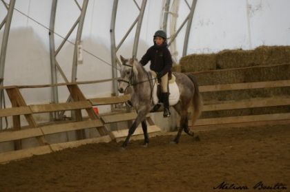 Curioso compé dressage arrivé 1er et 2e!