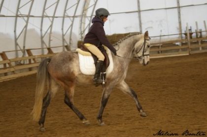 Curioso compé dressage arrivé 1er et 2e!