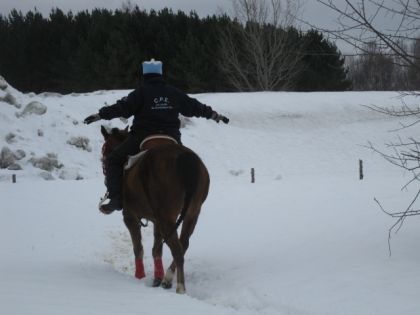 moi pi mon cheval