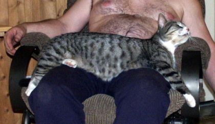 Mon "gros chat" ! Dure dure la vie de félin...