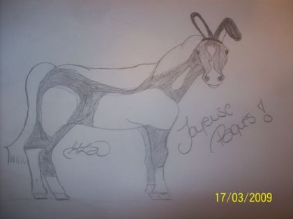 JOYEUSE PAQUE!!! :D mon cheval de paques !!!!!!!(un peu en...