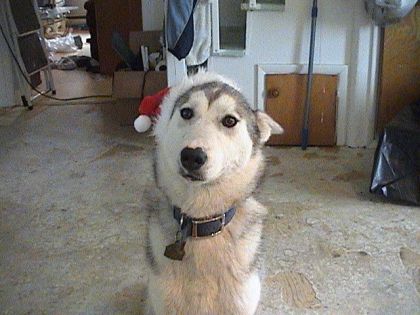 Demander a maman noel ce que vous voulez pour noël. Je ferai le...