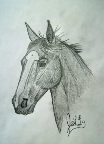 Un dessin que j'ai fais de ma jument! ;)