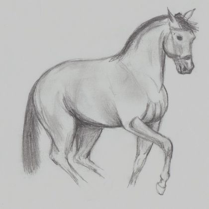 Un de mes derniers dessins, je trouve qu'il rend moins bien sur...
