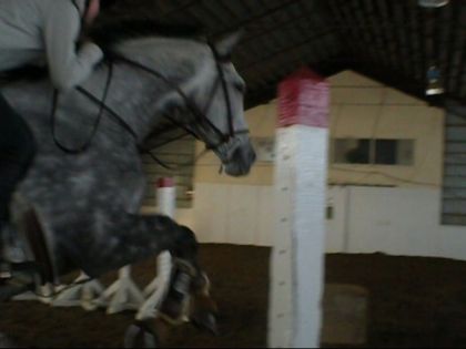Stuart :)