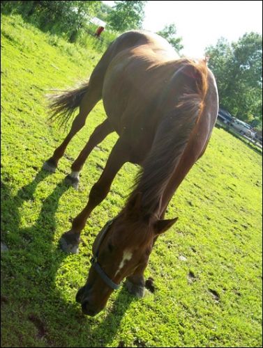 Bromont l'&eacute;t&eacute; 2008 ^^ Il ne faisait pas SI soleil pourtant la...