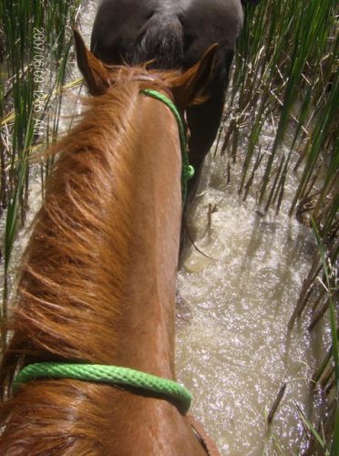aha nous somme dans l'eau .. et si la camera tombe je suis faite...