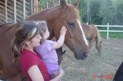 Un enfant caressant la tête d'un cheval