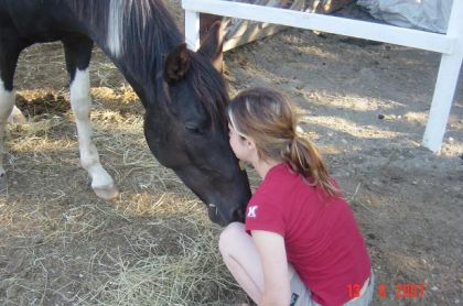 Jeune fille embrassant le chanfrein d'un cheval