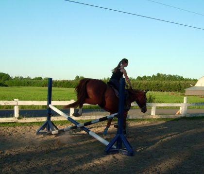 La première fois qu' Harmonie saute ! elle passe à travers!!!