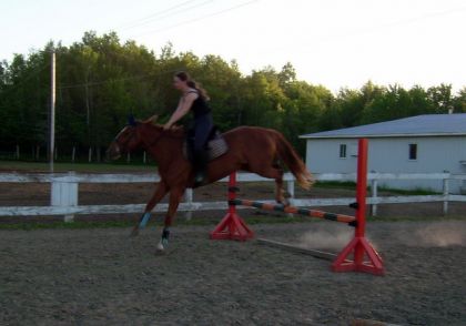 Harmonie à 3 ans, ses débuts à l'obstacle!