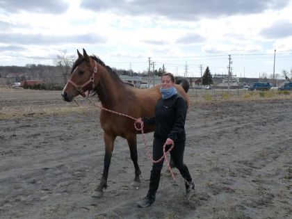 Petit jogging sur la piste de course!