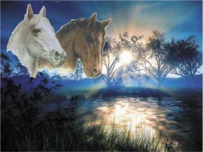 2 chevaux avec superbe couché de soleil