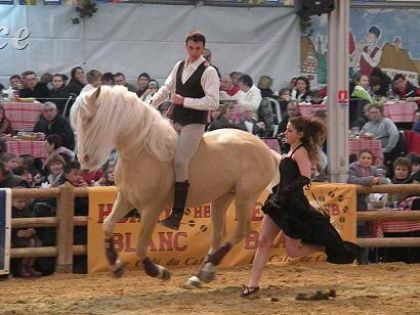 Un spectacle d'un cabaret equestre de cheval passion .