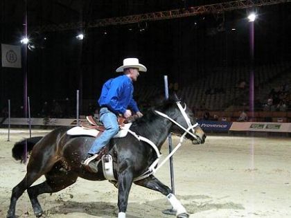 Une &eacute;preuve de Gymkhanna &agrave; Cheval Passion ...