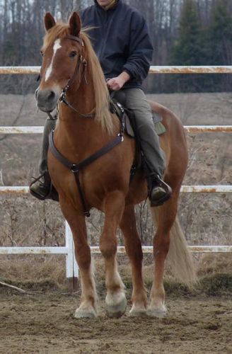 Mon chum sur sa police (Brin D'Or)!