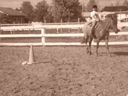 photo sepia d'une cavalière et son cheval