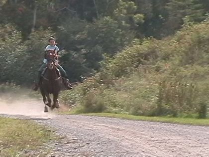Galop sur un sentier