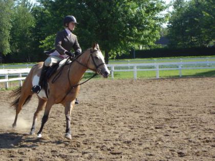 Frosty pendant un parcours elle move comme un cheval cette...