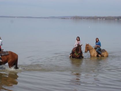 Mes deux cocottes dans l'eau
