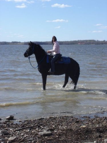 Audrey et River dans le lac des deux montagnes