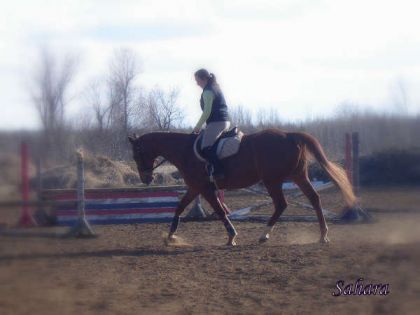 Sahara et moi