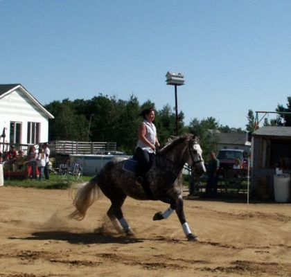 Cavalière sur son percheron