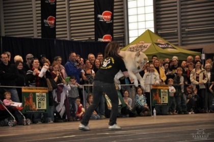 Moi qui attrapre mon chien , en spectacle a la fin de la demo de...