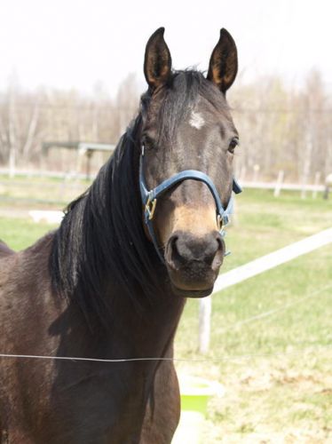 on dirait qui a un gros nez...jladore mon beubé