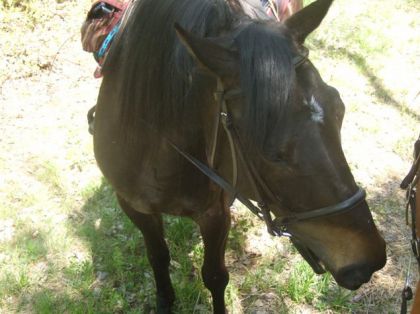 mon amour en trail...vu de haut