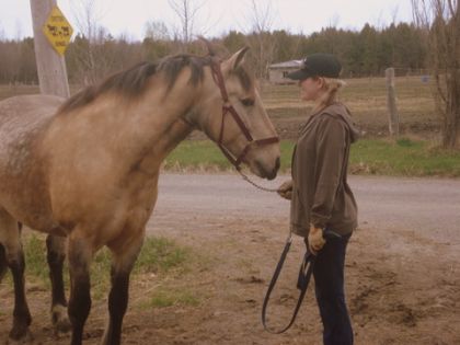 La plus noble conquête du cheval, c'est la femme. Je taime Duke