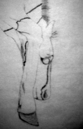dessin fait aujourd'hui