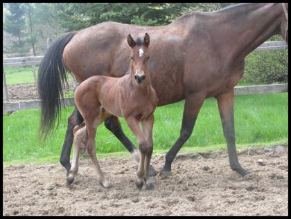 mon petit Flame 10 jours de vie
