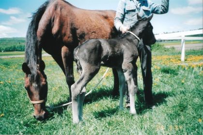 photo par sirenzo bb enzo a une journee trop choux