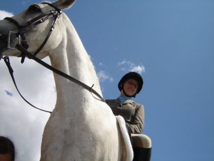 Cheval et cavalière vu du sol